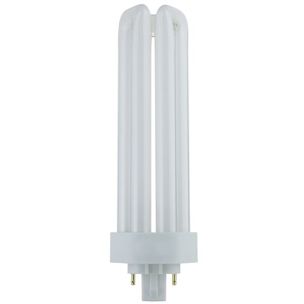 Sunlite PLT42/E/SP41K 42-Watt Compact Fluorescent Plug-in 4-Pin Light Bulb, 4100K Color