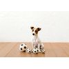Soccer Ball L PTLA01604