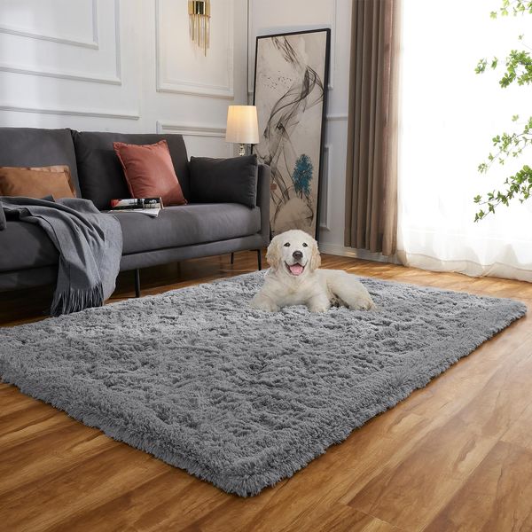 Evitany Area Rugs Fluffy Rugs Living Room Washable Rug Modern Anti Slip Carpet Fluffy Rugs for Bedroom(Grey, 80x120 cm)