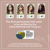 Hair Dye Dark Chestnut Brown (135ml) - ( x 5 Pack)
