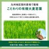 リビタ大麦若葉青汁（3g×30袋入）