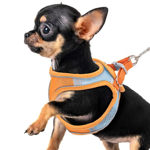 Premium Chihuahua Harness and Leash Set - Ultra-Comfy & Secure Dog Harness for Chihuahua