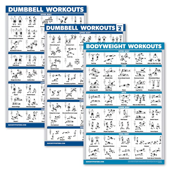 Palace Learning 3 Pack: Dumbbell Workouts Posters Volume 1 & 2 + Bodyweight Exercises - Set of 3 Workout Charts (LAMINATED, 18" x 24")