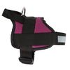 Regatta Reflective Adjustable Comfort Dog Walking Harness, Black