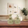 Button Corner Resin First Tooth and First Curl Set Christening Rabbit & Teddy Trinket Boxes CG752