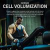 MuscleTech プラチナ クレアチン 味付なし 400 g