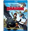 How to Train Your Dragon (Single Disc Edition) [Blu-ray]