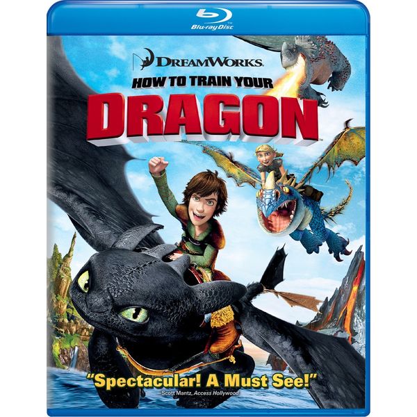 How to Train Your Dragon (Single Disc Edition) [Blu-ray]