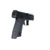 TALON Grips for CZ P-10 C
