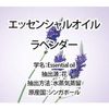 Wecan Essential Oil Lavender