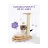 Made4Pets Cat Scratching Post Cat Scratcher Toy Wooden Two-Layer Cat Turntabl...