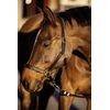Kerbl Eco Head Collar - Brown, Size 1