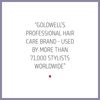 Goldwell Dualsenses Just Smooth Taming Shampoo 300mL