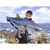 DUEL Hardcore Water Drive 150mm Sinking Strike Eagle Lure