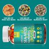 Organic Irish Sea Moss Gummies - 2000mg | 300 Gummies | Immune & Thyroid Support