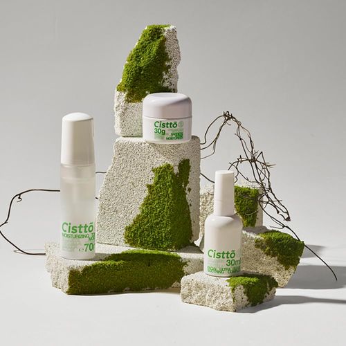 Exzycke 10PCS Original Design Product Photography Background Props Simulate Moss DIY Forest Scenes White Irregular Stones Geometric Cube Props for Photoshoot