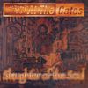 Slaughter Of The Soul[LP]