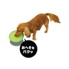 Doggyman Flappy S