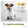 PiuPet Slow Feeder Dog Bowl (13 fl oz)
