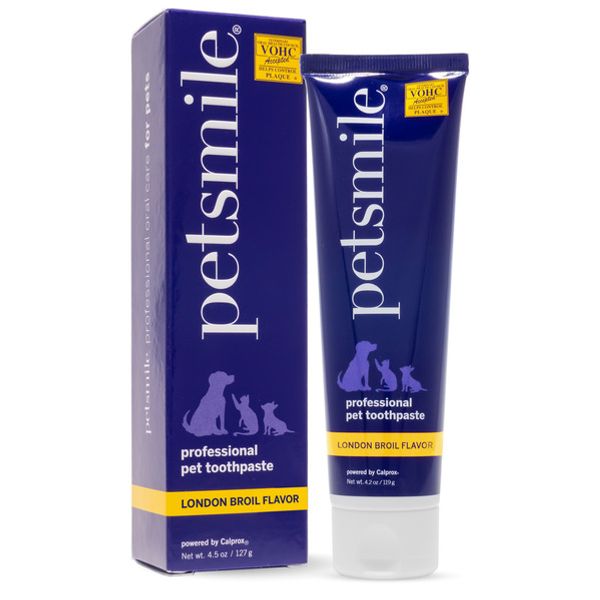 Professional Pet Toothpaste London Broil Flavor Large