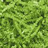 Box.it.pack.it Shredded Crinkle ZigZag Kraft Paper, Lime Green, 500g