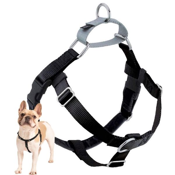 New_2 Hounds Design Freedom No Pull Dog Harness | Comfortable Co_Black_SZ_1" MD