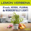 Mrs. Meyer's Hand Soap Refill, Made with Essential Oils, Biodegradable Formula, Lemon Verbena, 33 fl. oz