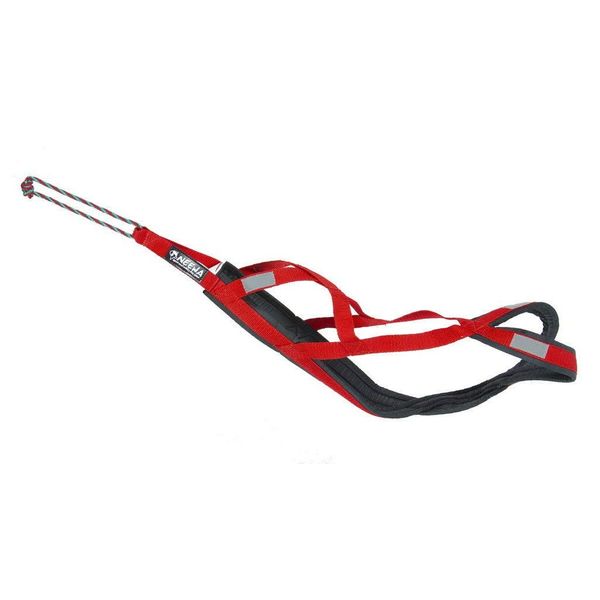 Neewa Pro Sled Dog Harness (Red, Large)