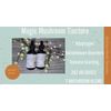 Mushroom Adaptogen Herbal Tincture.  2oz, Autoimmune 