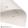 mita Washi, Patterned, Copy, Printer Paper, Tairei Paper, Gold, Silver, White, A4, 100 Sheets
