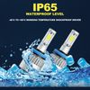 2PCS H11 LED Headlight Bulbs High/Low Beam For 2008-2018 Freightliner Cascadia