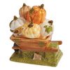 Park Designs Punkin' Patch Salt And Pepper Set