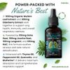 Puretrex Elite Mullein Drops, Organic Mullein Leaf Extract, 60ml, Lung & Respiratory Support Supplement