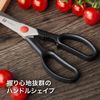 ZWILLING 41370-001-0 stationery/craft scissors