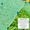Strong Cold Frame Film 10 x 1.5 m 37 µm