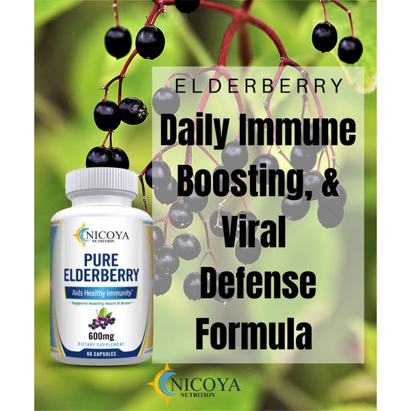 Natural Elderberry Extract- Daily Immune, Joint Support & Viral Defense