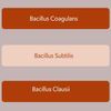 Bacillus B3 Probiotics  - Bacillus Subtilis, Coagulans Clausii Enzymes prebiotic