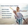 Kailash Herbals Organic Haritaki Capsules – 2420MG - Improves Digestion - Detoxification & Rejuvenation – Maintains Regularity - Brain Function- 100 Capsules Terminalia chebula | Vegan, Non-GMO