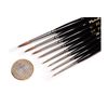 R/Brush Series 8404 Size 00000