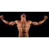 nitric oxide booster - Nitric Oxide 2400mg 2 Bottles - increase muscle density