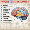 NERIXA Memory Brain Support - Memory, Mental clarity, concentration, focus