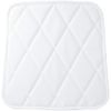Mizuno (Mizuno) Baseball Pads 52zb00350