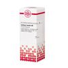 DHU Ustilago maydis D6 Dilution, 20 ml Lösung