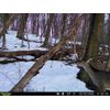 Preorbital Deer Rope System