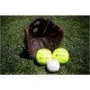 Rawlings | PLAYER PREFERRED Glove | Softball | Right Hand Throw | 14" - Basket Web