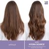 Biolage HydraSource Conditioning Balm 9.5 oz / 280 ml | For Dry Hair