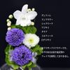 Art Four Seasons Mini Dome, Lira Preserved Flower