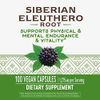 海外直送品 Nature's Way Siberian Eleuthero, 100 Caps [並行輸入品]