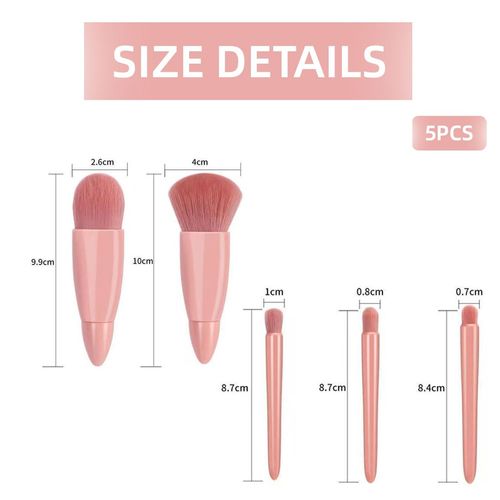 BZKSER Make up brush set, 5 pieces travel cosmetic brush set with mirror box, portable make-up brush, professional cosmetic brush with case, vegan face brush, eye shadow brush for travel, powder,