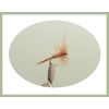 Dry Trout Flies, 24 Per Compartment Box, Mixed Pattern & Sizes, For Fly Fishing